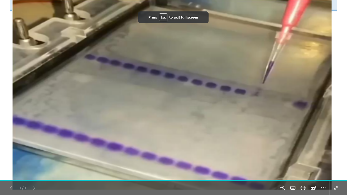 <p>what is that blue thing and why its used and what type of electrophoresis is this </p>