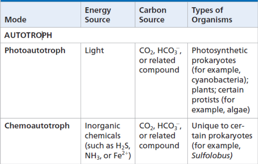 Need only CO2/related compounds as a carbon source
1. Photoautotrophs
2. Chemoautotrophs