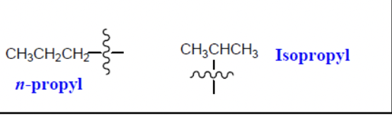 <p>3 carbons attached</p>