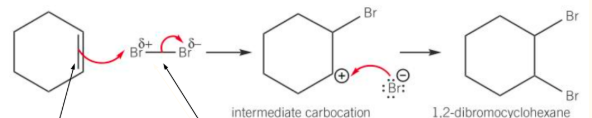 <ol><li><p>The π-bond in the alkene contains localised electrons above and below the C=C plane. This is an area of high electron density</p></li><li><p>The localised electrons induce a dipole in the non-polar bromine molecule making one bromine slightly positive and the other slightly negative</p></li><li><p>The slightly positive bromine atom enables the bromine to act as an electrophile</p></li></ol><p></p>