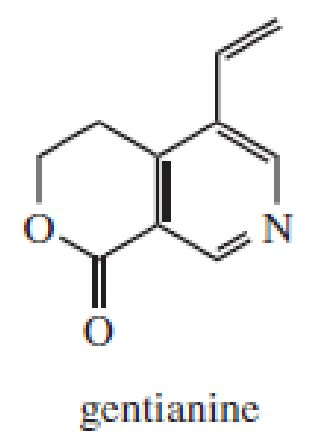 <p>terpenoid pseudoalkaloid</p><p>Gentiana lutea (Gentianaceae) </p><p>Mostly found as artefact formed when the plant is treated with NH3 that contains gentiopicroside</p>