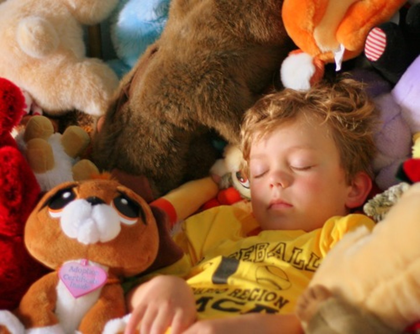<p>to take a nap</p>