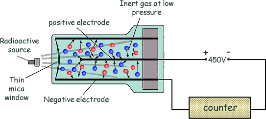 <p>radiation produces ions in a <strong>low pressure</strong> gas between a central positively charged electrode &amp; the outer negatively charged tube. a pulse of current then flows that is registered by the counter. the thin <strong>mica window </strong>allows the least penetrating radiation (alpha) to enter the tube. Gamma radiation and most beta can enter through the sides of the metal tube</p>