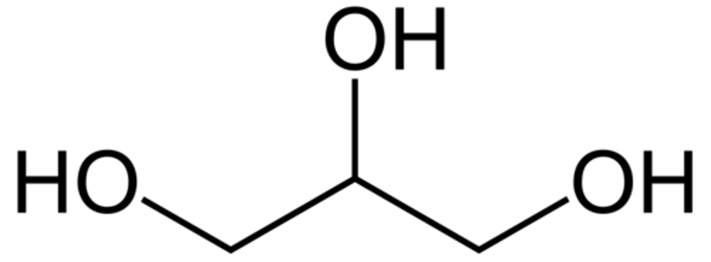 <p>(C) Glycerol</p><p>Other types of dietary fat include Cholesterol, Cholesterol Esters, Phospholipids and Free Fatty Acids.</p>