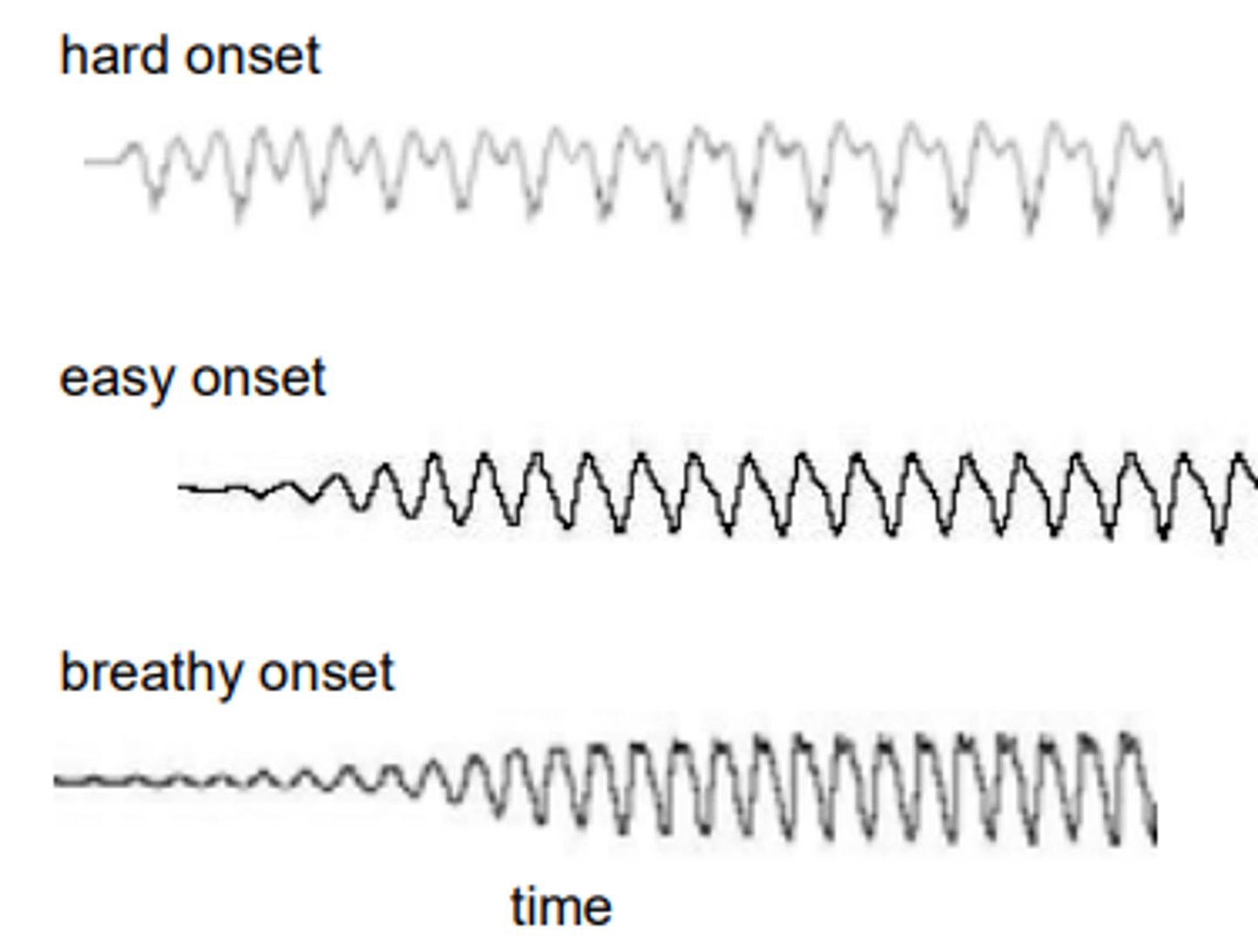 <p>the vocal folds are adducted after the initiation of expiratory flow</p>