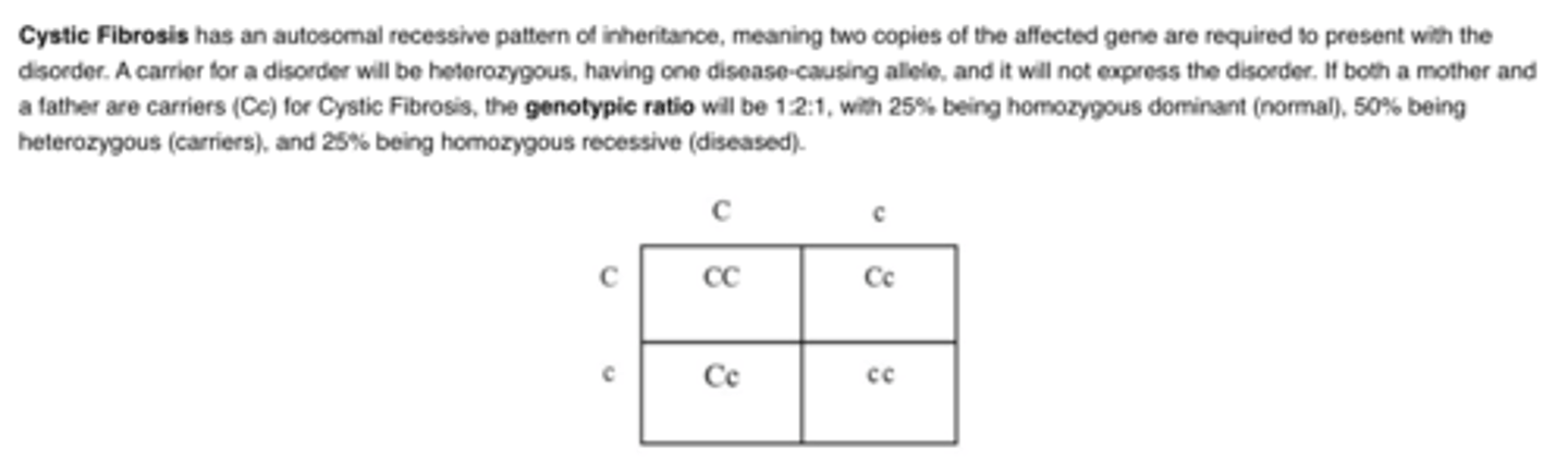 <p>B.25%</p>