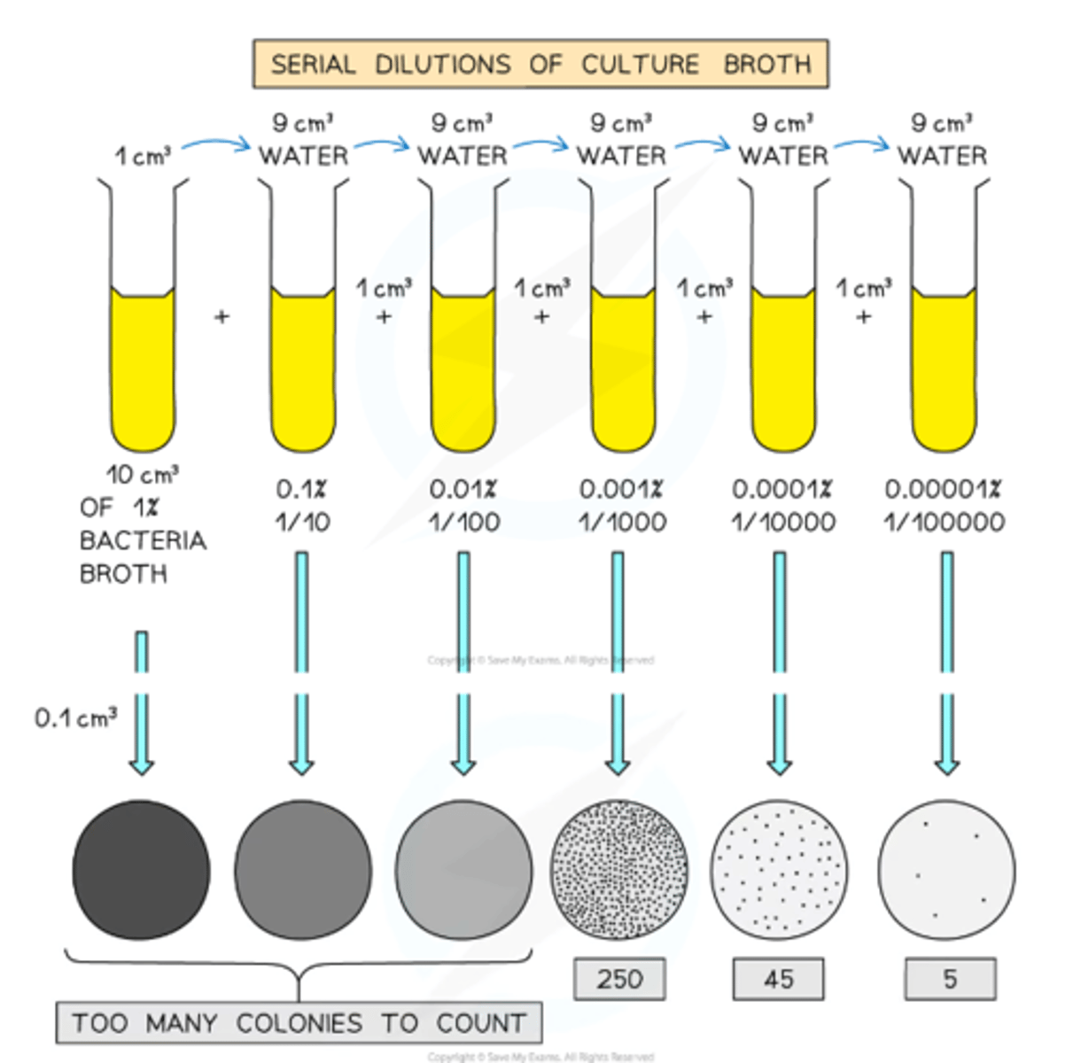 <p>Use a serial dilution method to dilute the bacteria in the broth before plating them onto the agar</p>