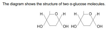 <p>On the diagram, draw a box around one chemical group in each glucose molecule used to form a glycosidic bond. (1)</p>