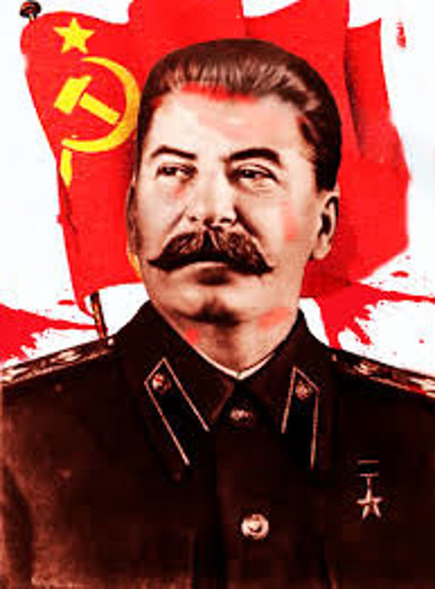 <p>Censored citizens.</p><p>Secret Police-caused Terror.</p><p>5 year plan-increase agricultural or farming and industrial or factory output meaning heavy industry.</p><p>Collectivization-widespread food shortage and forced famine or starvation in Ukraine.</p>