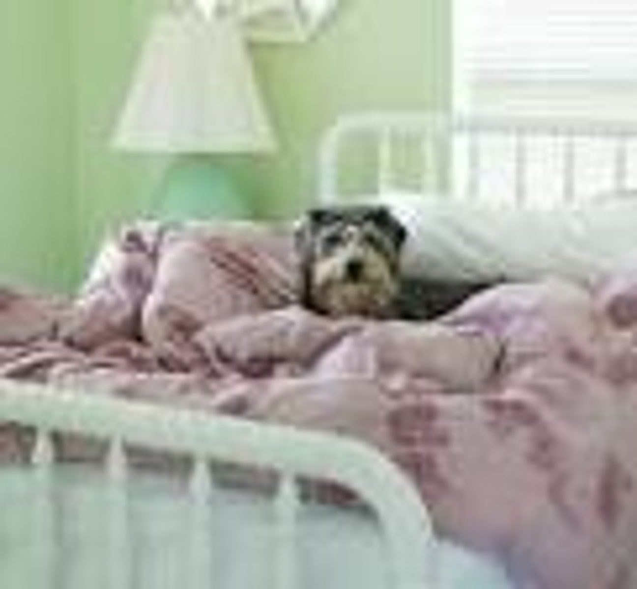 <p>On the bed</p>