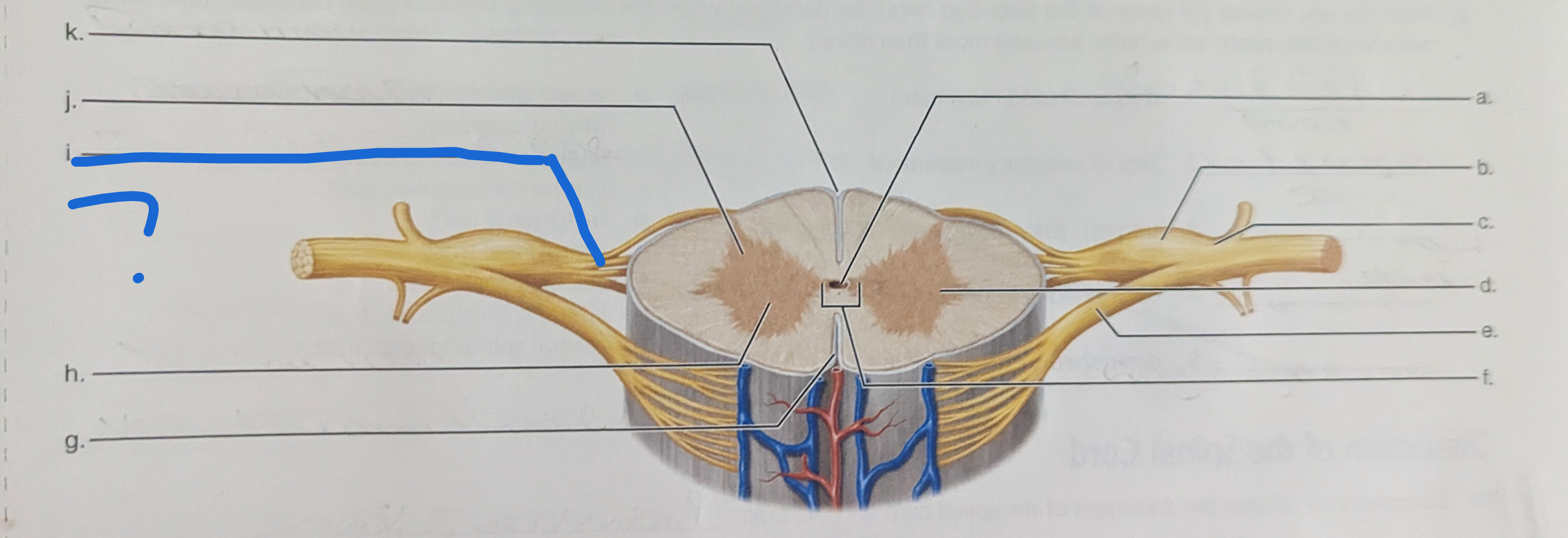 <p>What is the name of this?</p>