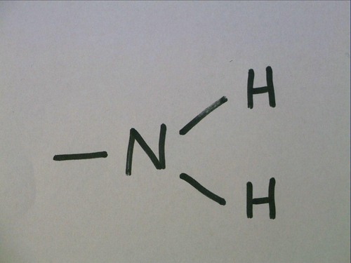 Nitrogen bonded to two hydrogens
act as a base by picking up an H+ solution and becoming ionized 
Organic compounds with an amino group are called amines. amino acids contain amino group and carboxyl group

no carbon