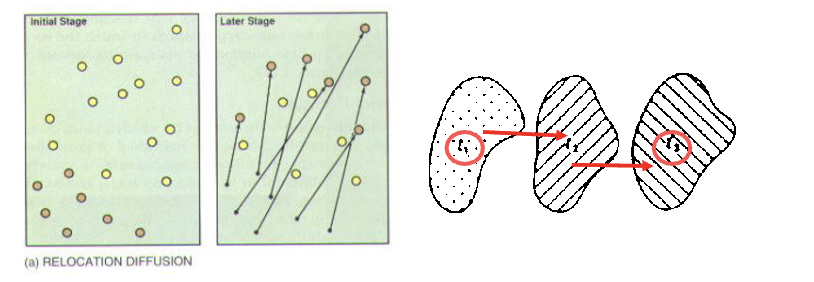 <p>Is a spatial spread process, but the items being diffused leave the areas where they originated as they move to new areas</p><ul><li><p>Cannot be in the same space at the same time</p></li><li><p>eg. a thief has to move from house to house and cannot be in all houses at once </p></li></ul><p></p>