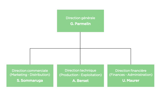 <p>Comment s’appelle la représentation schématique de la structure d’organisation ?</p>