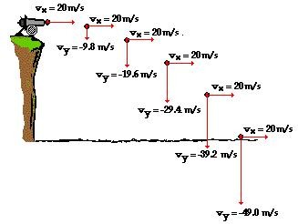 <p><span>Gravity accelerates the projectile downward at -9.8 m/s², affecting its vertical motion</span></p>