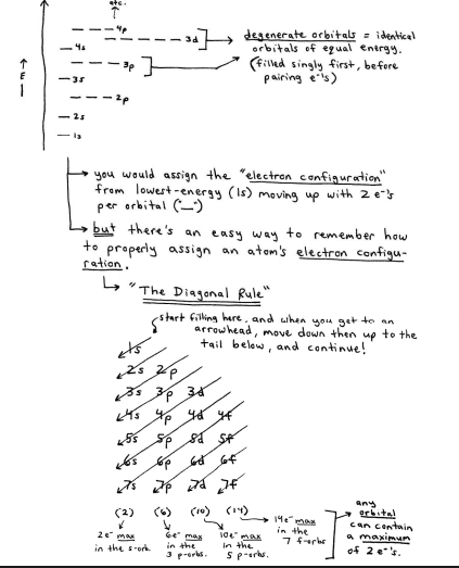 <ul><li><p>the Aufbay Principle states that electrons prefer to be in the lowest-energy level possible, so they will "fill in" to the lowest-E atomic orbital that's available</p></li><li><p>a single atomic orbital can hold a maximum of 2e<sup>-</sup>. sany type (1s, 3p, 6f, 4d, etc...)</p></li><li><p>thus, e's fill the orbitals of an atom and setle in to their own unique address" like this:</p></li></ul><p></p>