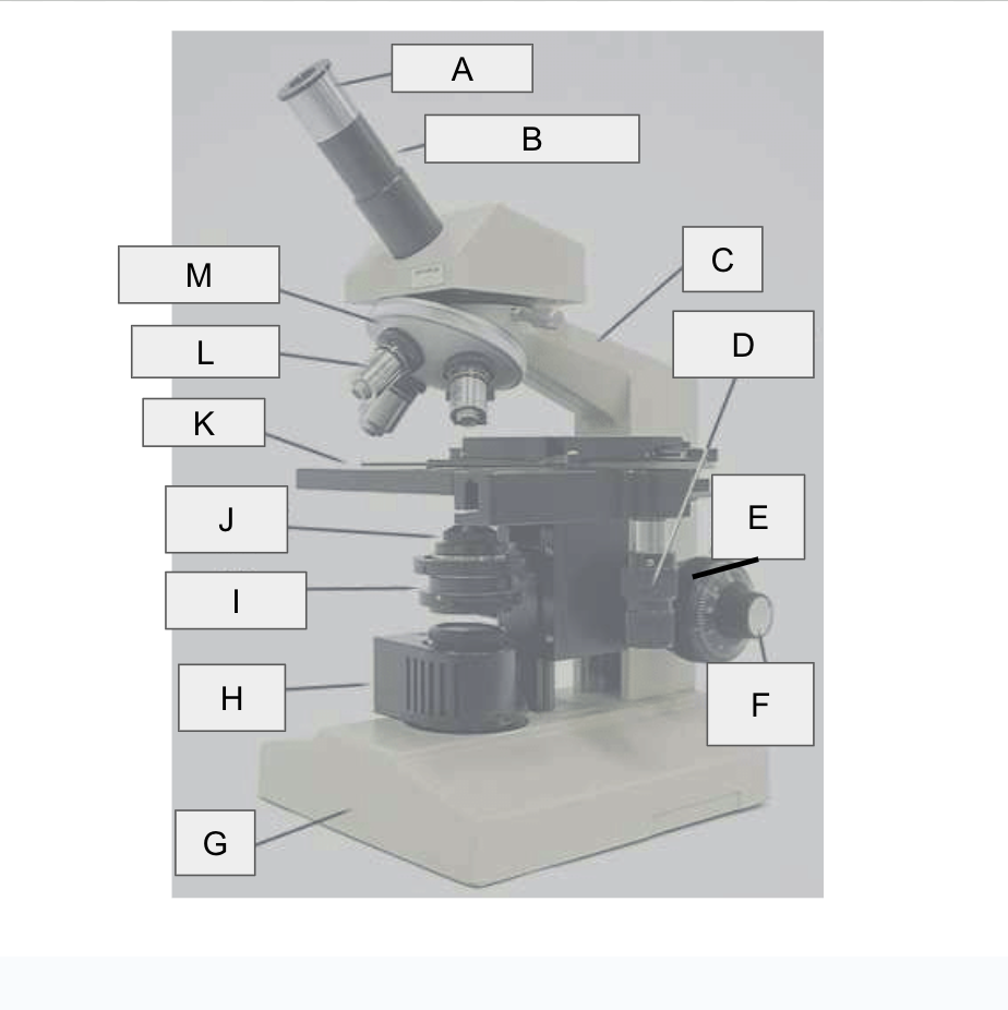 <p>Name Every piece of the microscope </p>