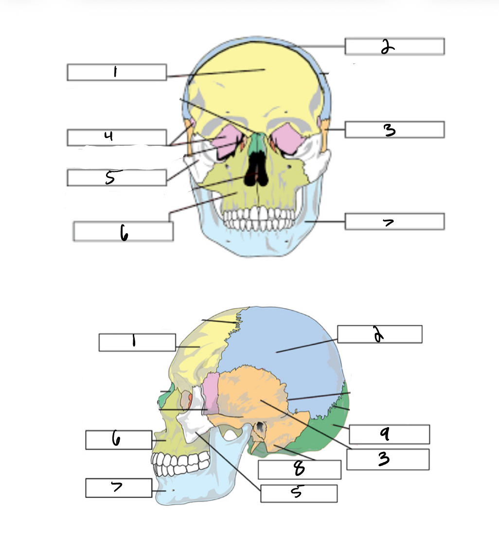 <p>1</p>