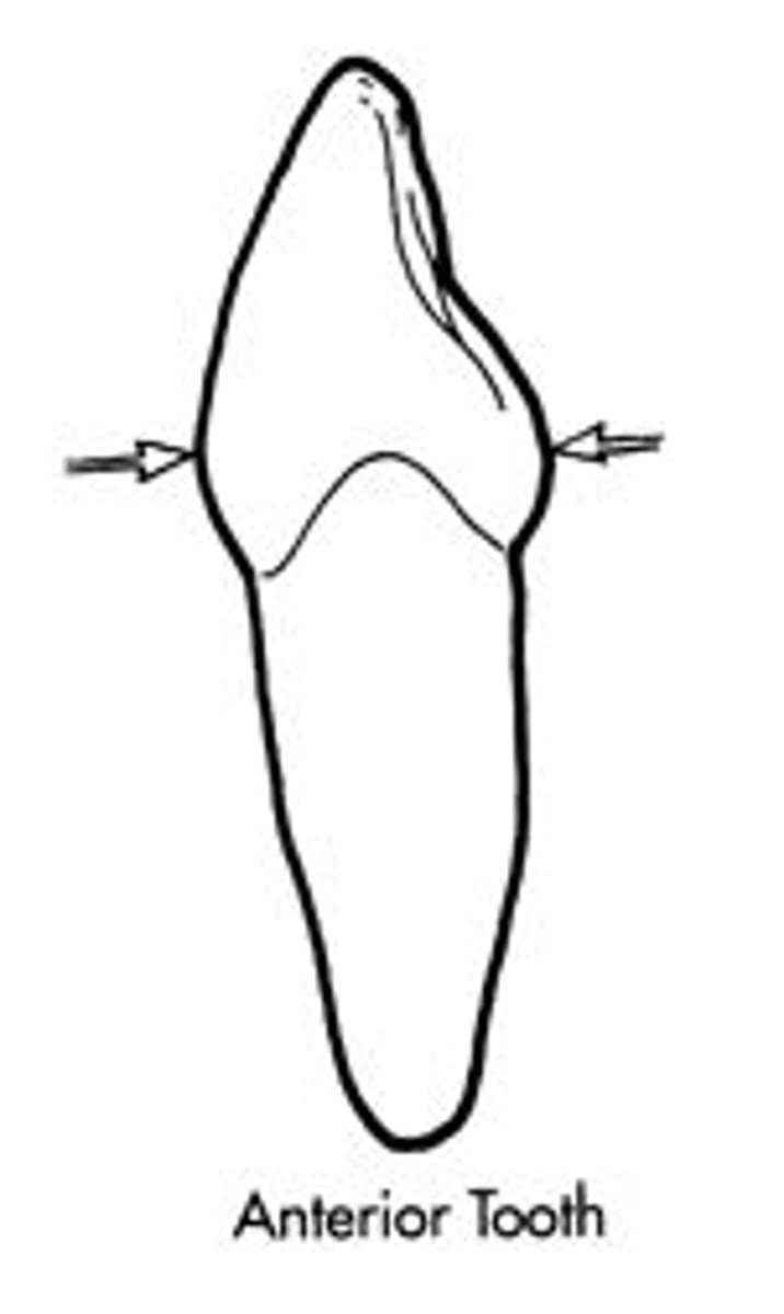 <p>cervical 3rd for both</p>