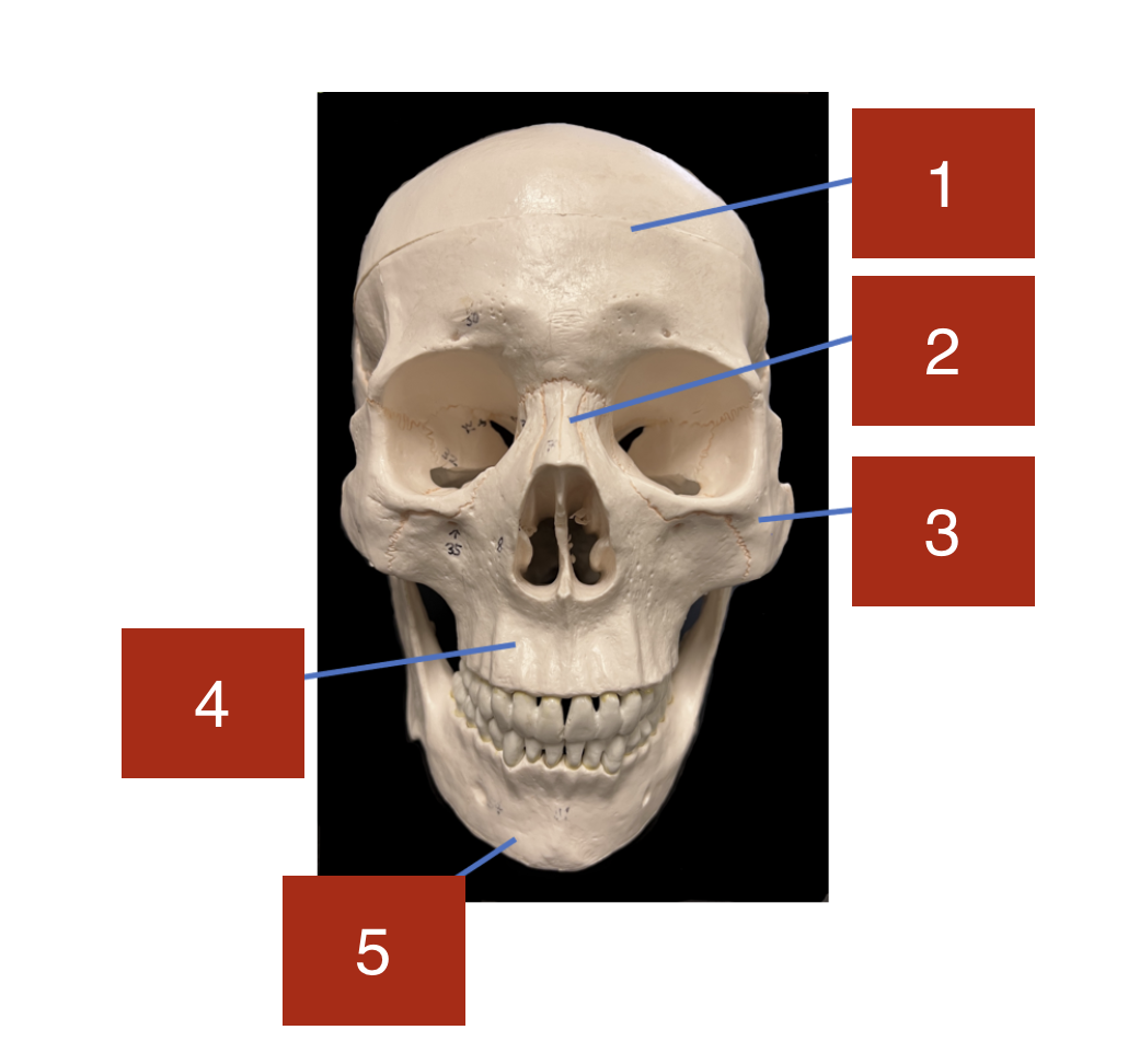 <p>1</p>