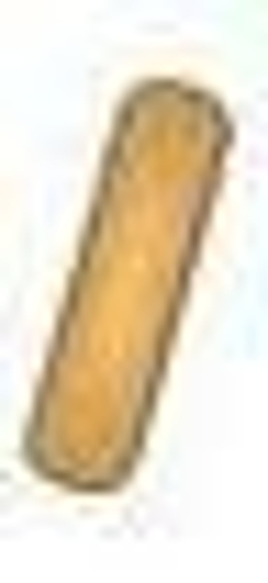 <p>Rod shaped bacteria</p>
