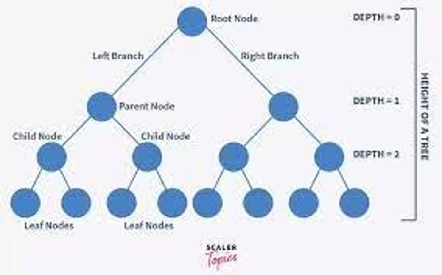 <p>a data structure in which each node stores data and has up to two children</p><p>the top node is the root</p>