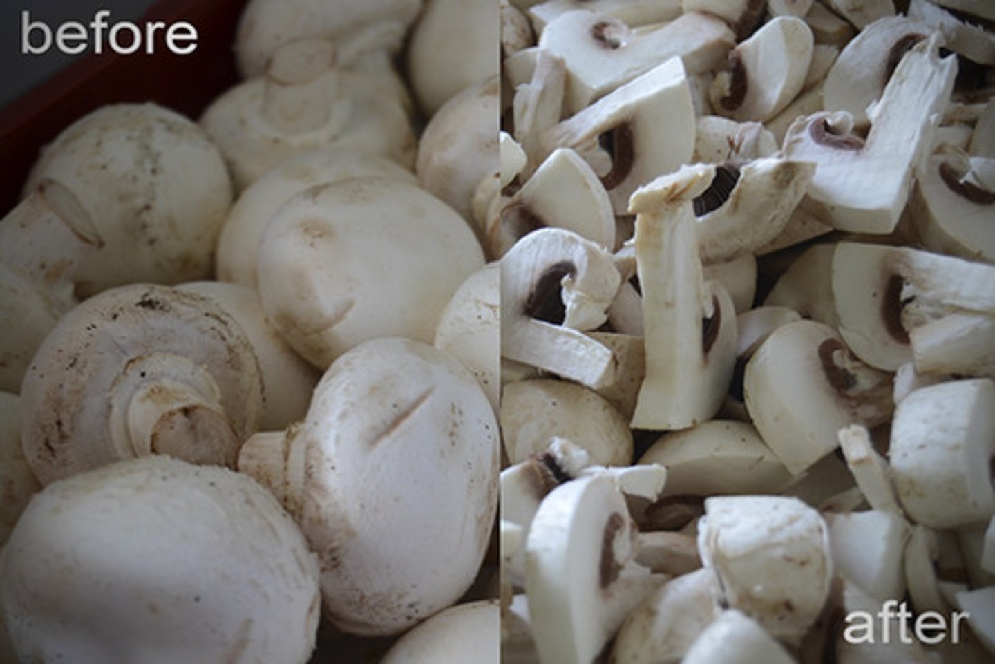 <p>mushrooms</p>