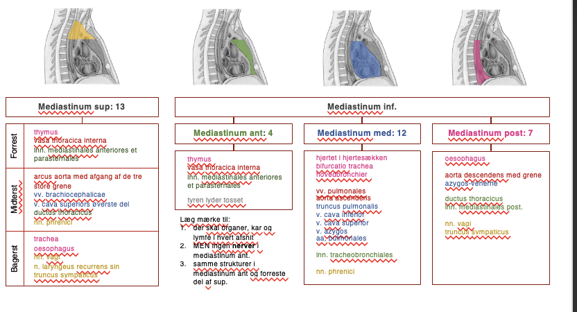 <p>Studer overbliksark </p>