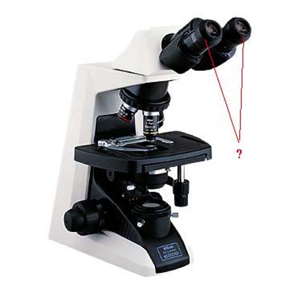 <p>Eye pieces used to view the magnified image from the slide that has a magnification of 10x</p>