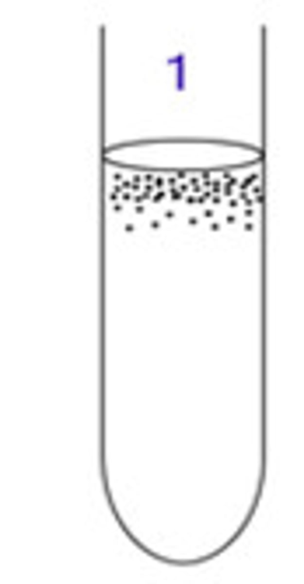 <p>Growth of surface only.</p>