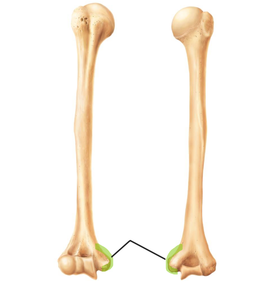 <p></p>