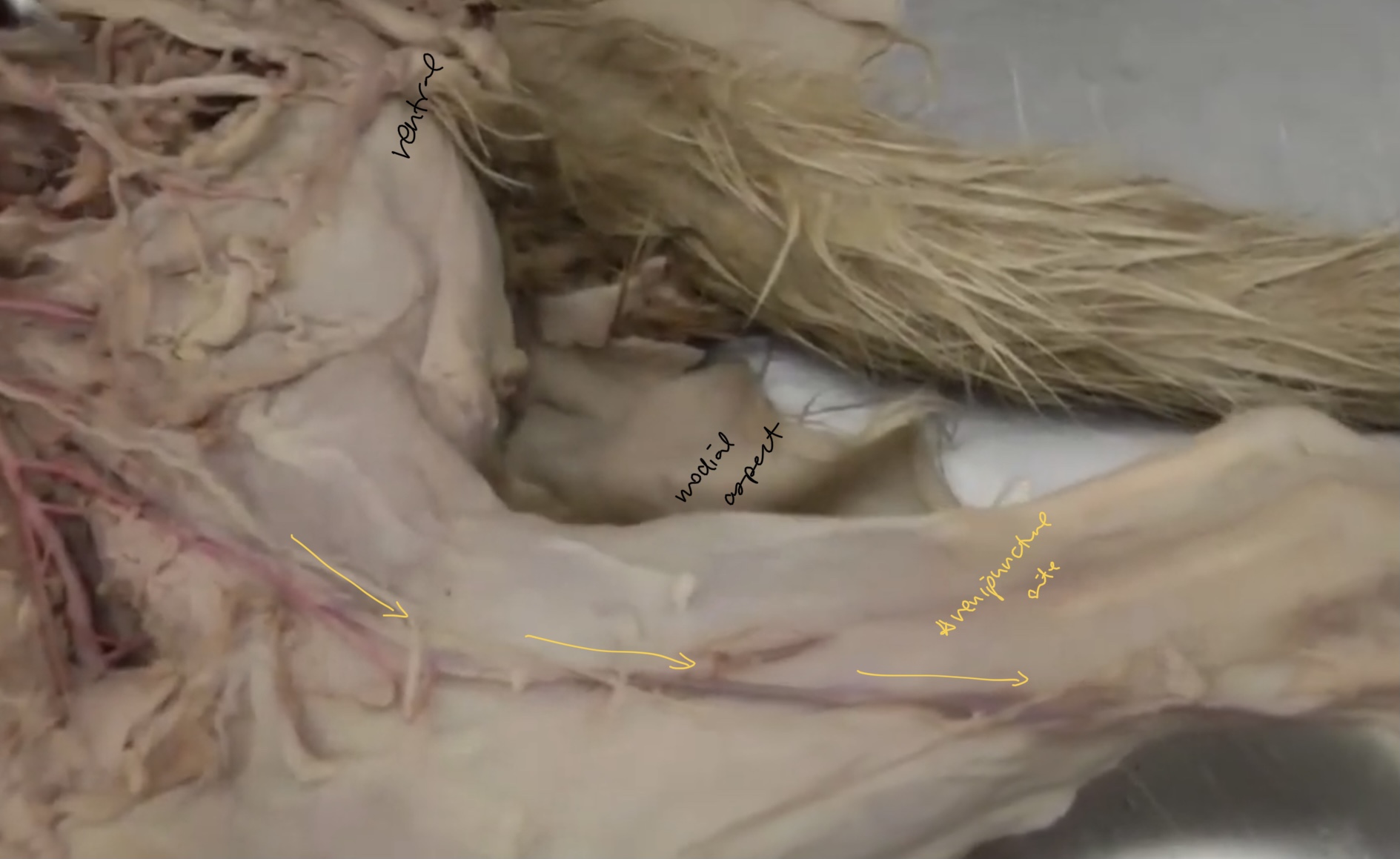 <p>what is this?</p>
