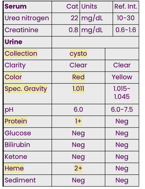 <p>A 3-yr-old cat presented with</p><p class="p1">anorexia and polyuria. Initial CBC</p><p class="p1">detected a mild erythrocytosis. The</p><p class="p1">provided data indicate there is a</p>