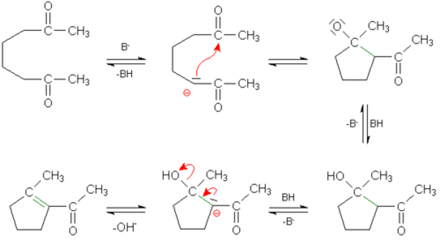 <p>enolate reacts with ketone or aldehyde</p><p>SN2 reaction to add at alpha carbon of enolate</p><p>elimination to form double bond on newly attached ketone or aldehyde</p>