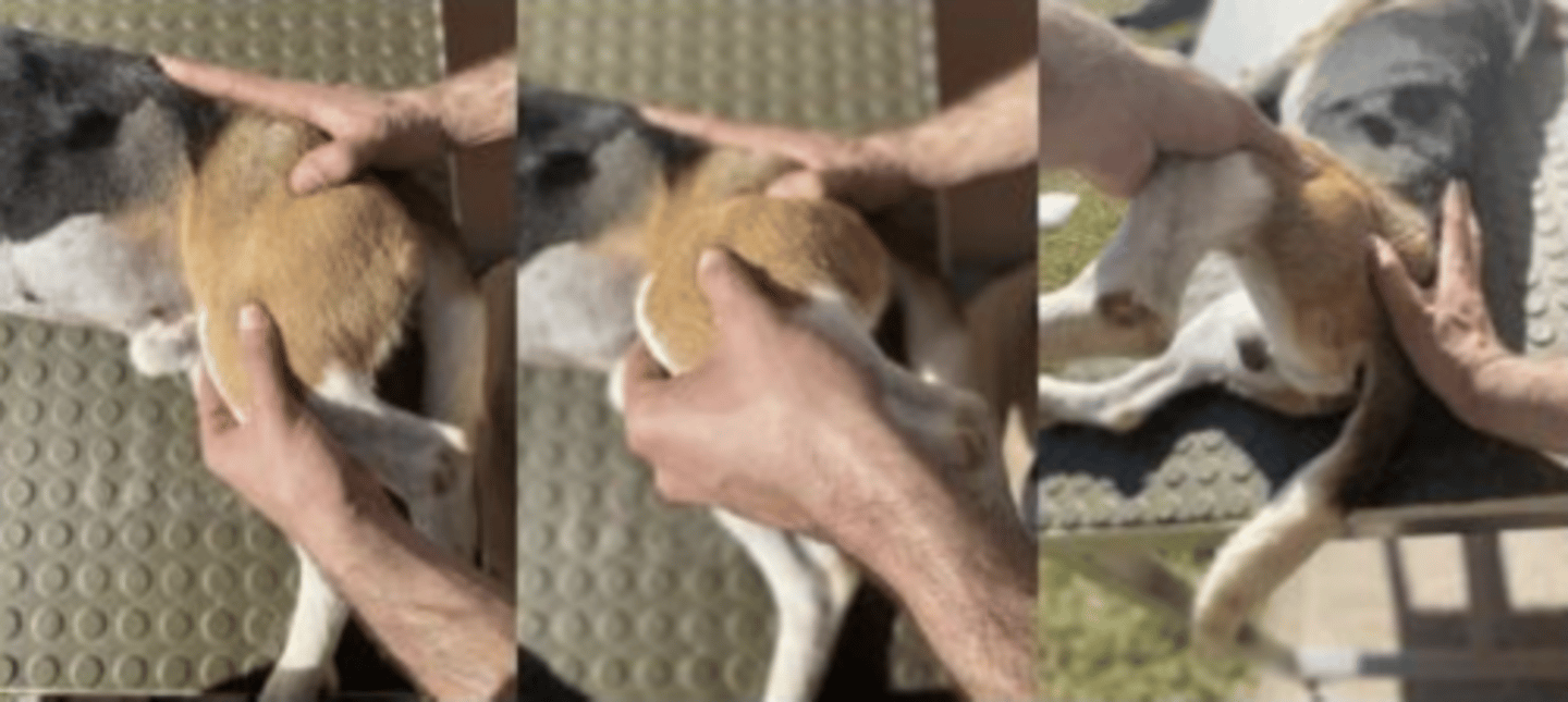 <p>what is happening here ?</p>