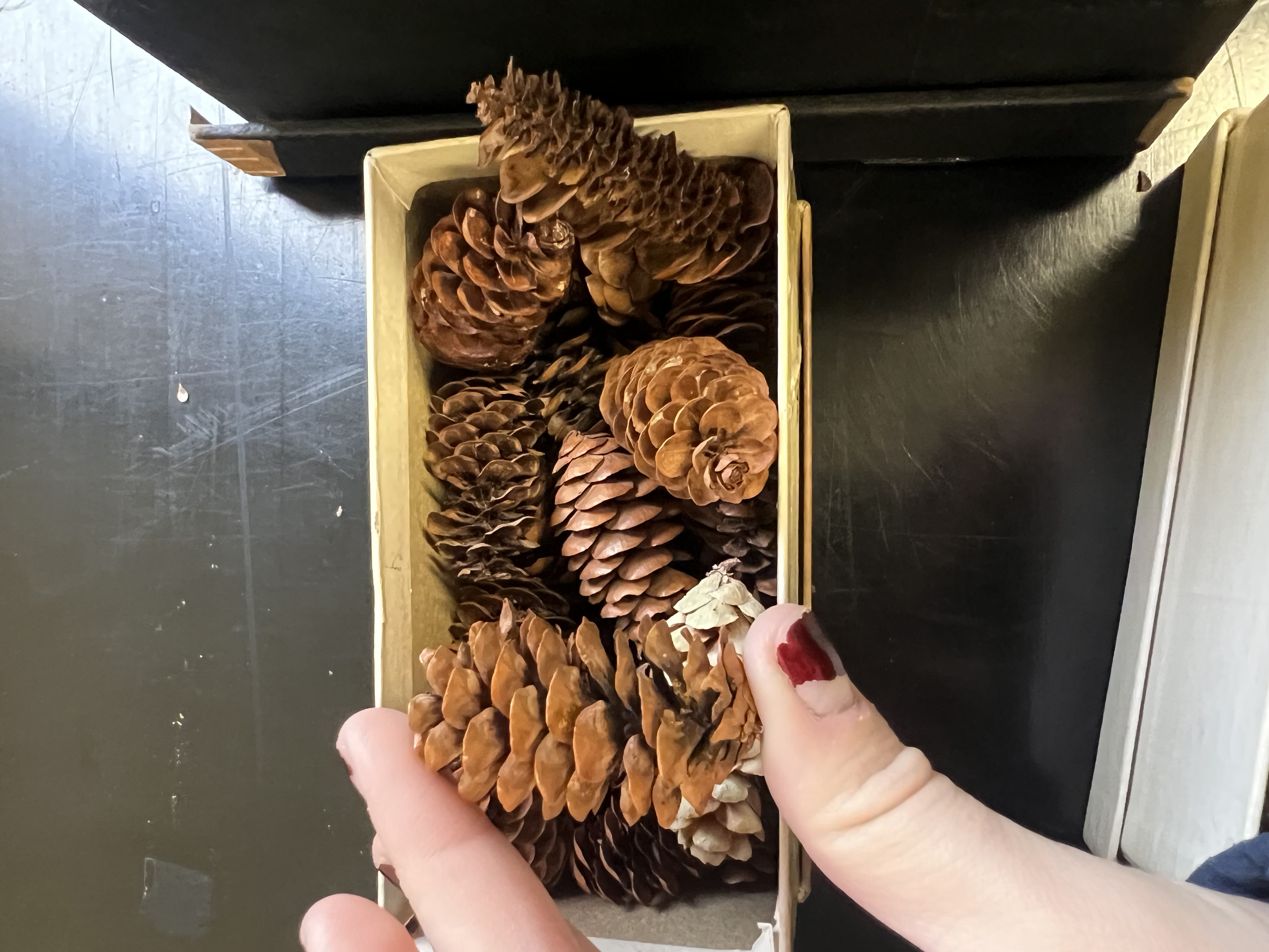 knowt flashcard image