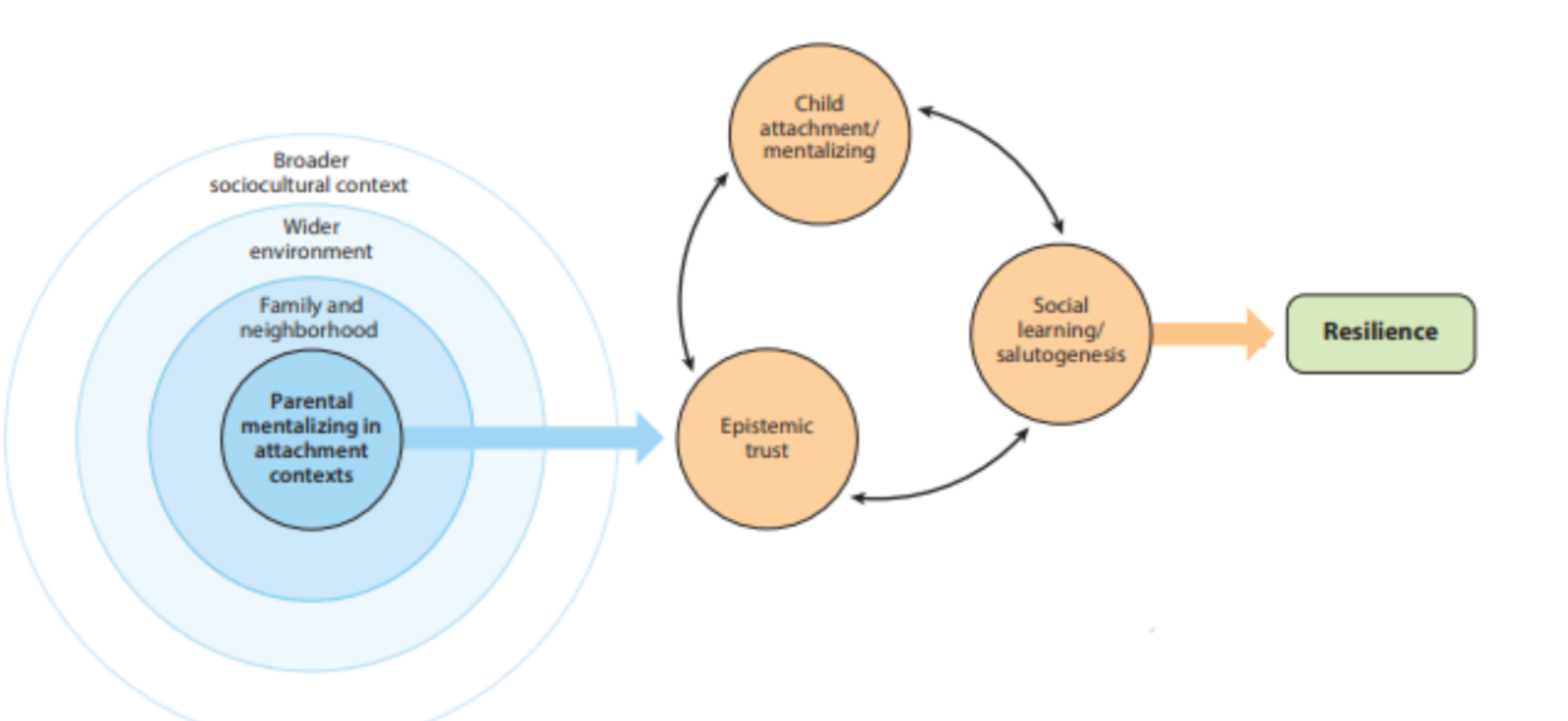 <p>Social-evolutionary communicative model</p>