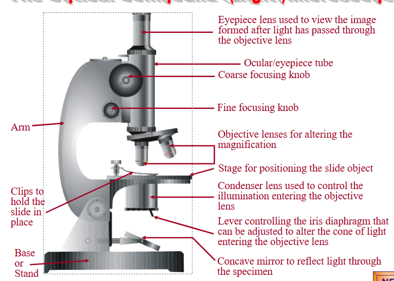 knowt flashcard image