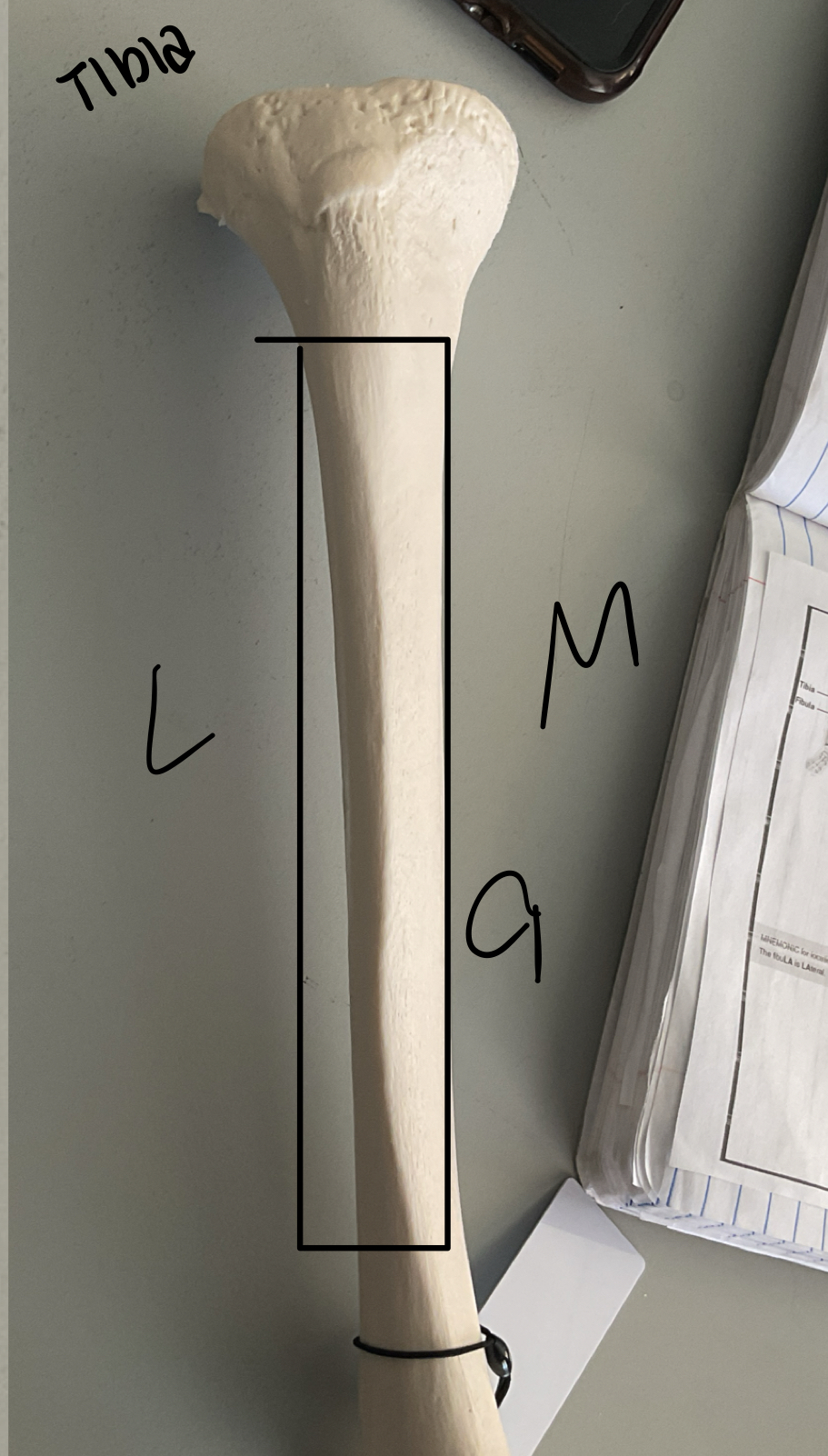 <p>9</p>