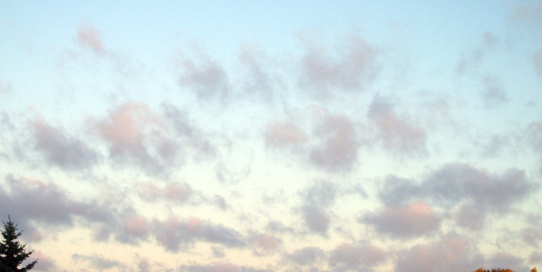 <p>Stratus Fractus (SF)</p>
