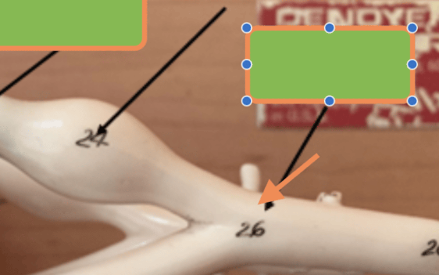 knowt flashcard image