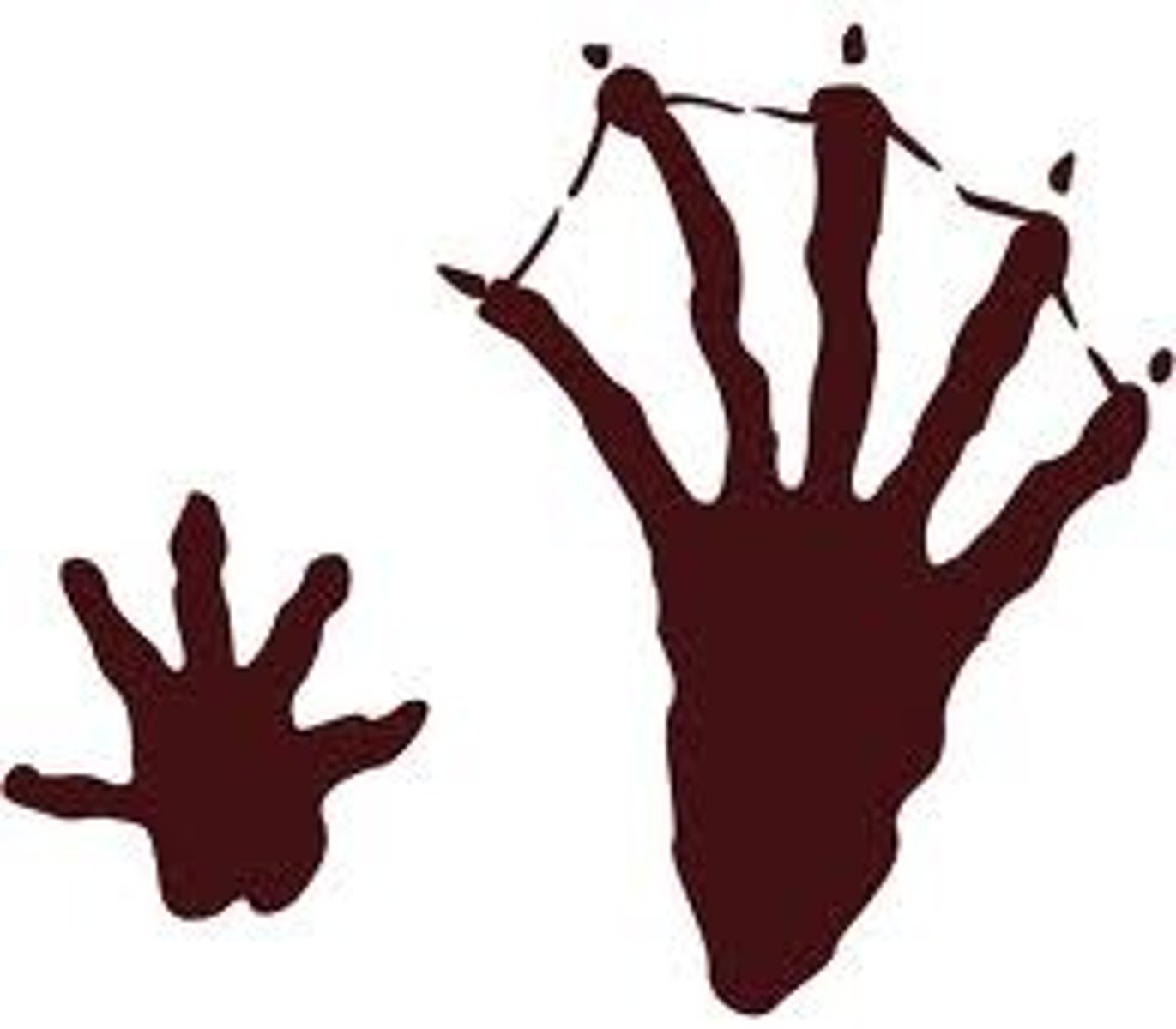 <p>3 inches front foot, 5 inches back foot</p>