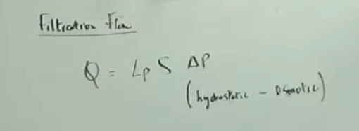 Q=flow out of pores    lp=hydraulic conductance   S=surface area of capillary delta p=pressure drop     may be given hydrostatic(need osmotic pressure)(hydrostatic-osmotic to get delta p) if negative it goes in instead of out units (m^3)/s