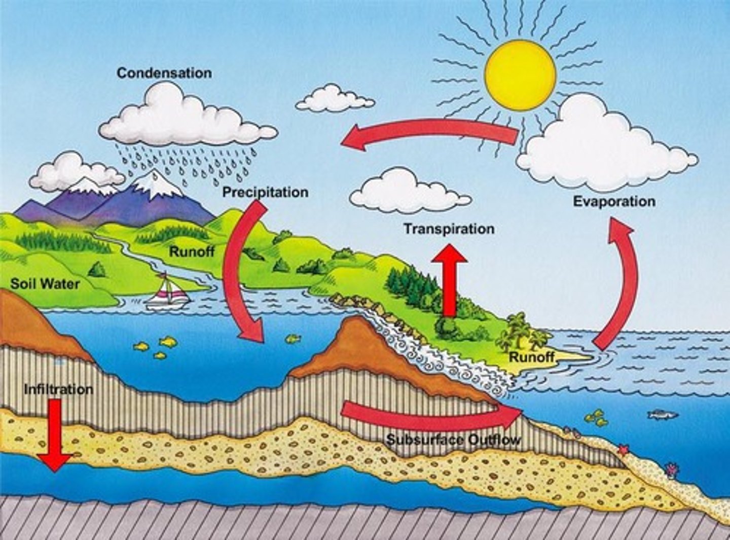 <p>Natural process of water movement through environment.</p>