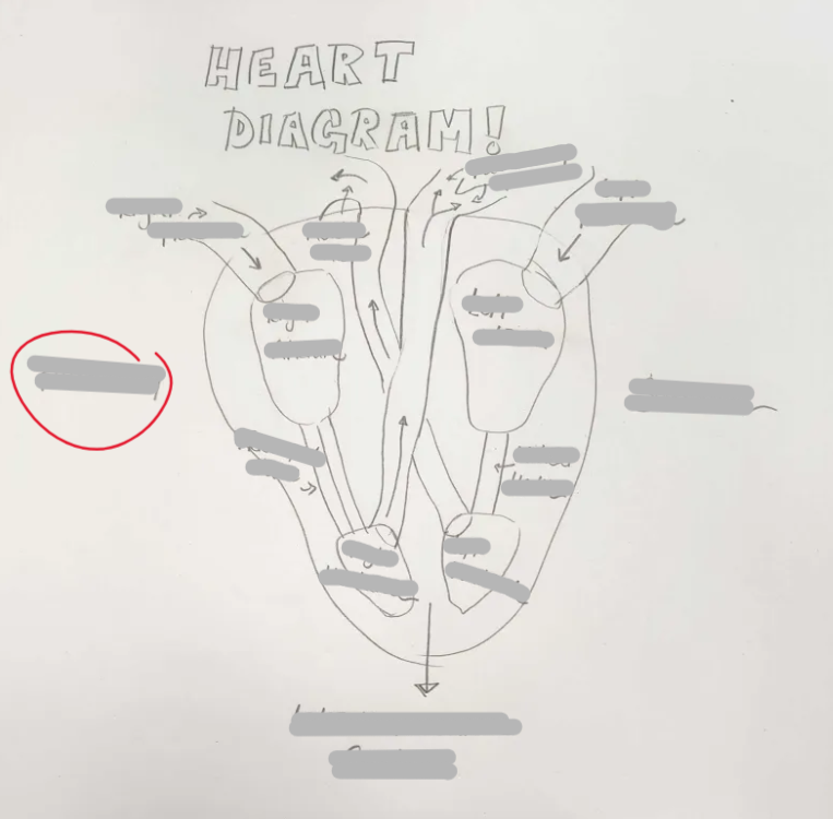 <p>What Side is this?</p>