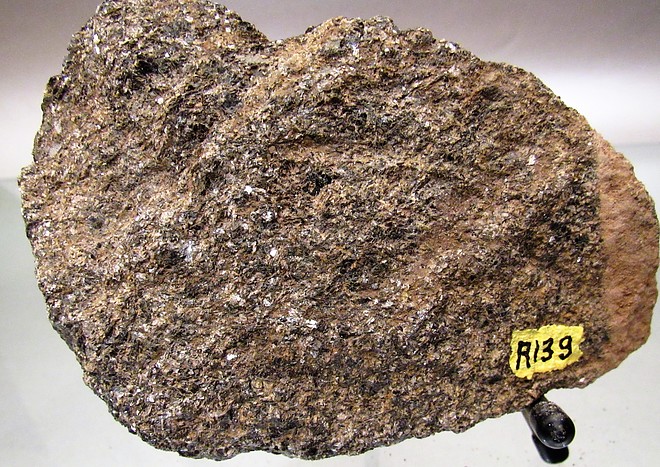 Biotite Schist