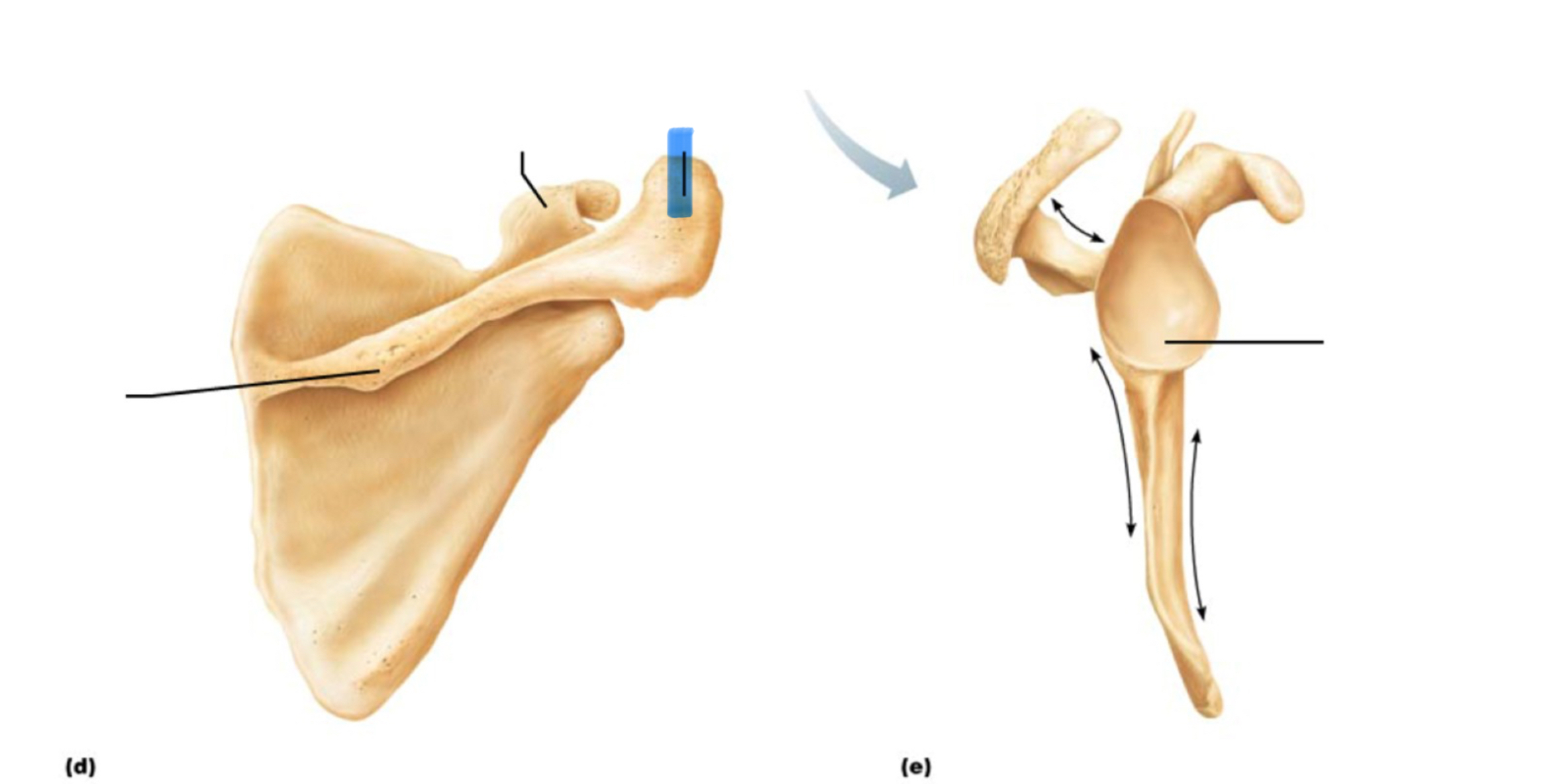 <p>What marking is this?</p>