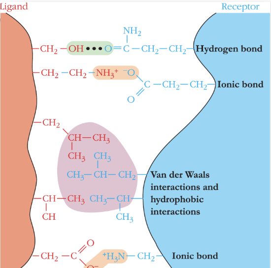 <p>the distance between the interacting groups. the interacting groups must be in close proximity (in molecular terms) before the forces become significant</p>
