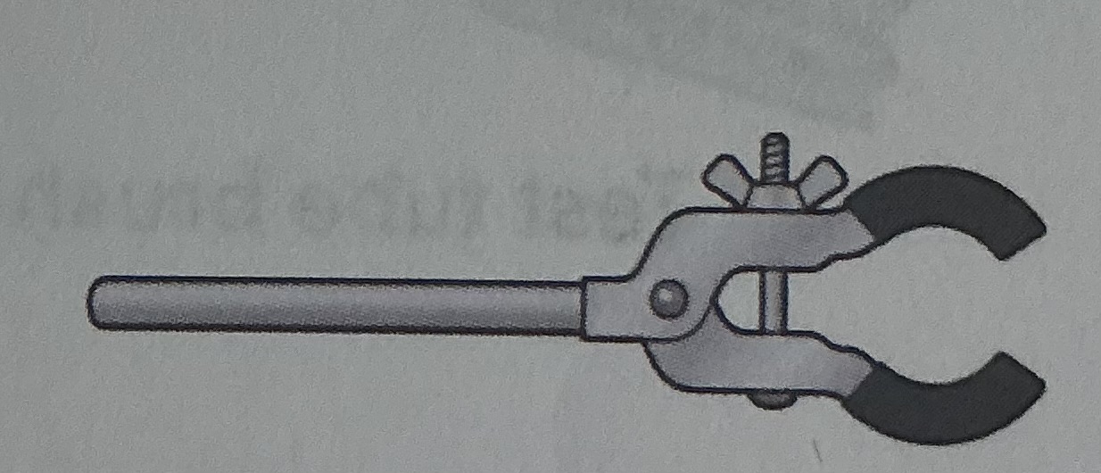 term image