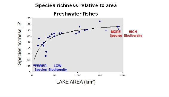 <p>larger areas contain more species than smaller areas</p>